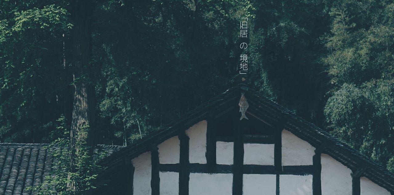 虫虫助手下载